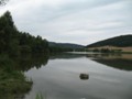 Carp lake in West Bohemia